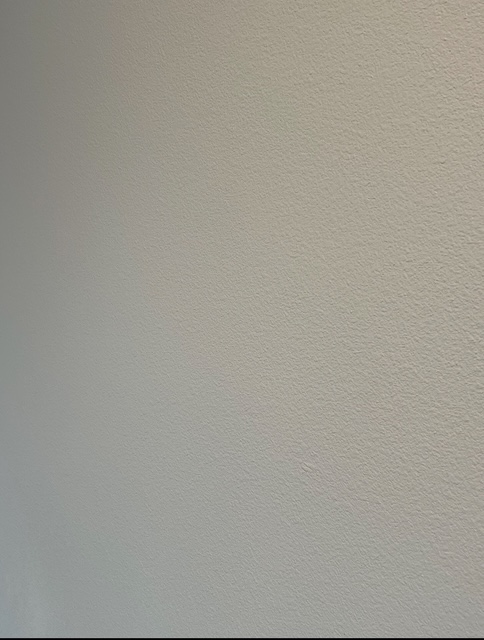 Close-up of a light-colored wall with a fine, uniform stippled texture.